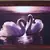 2 Swans Design Satin Matt Texture Framed UV Art Print