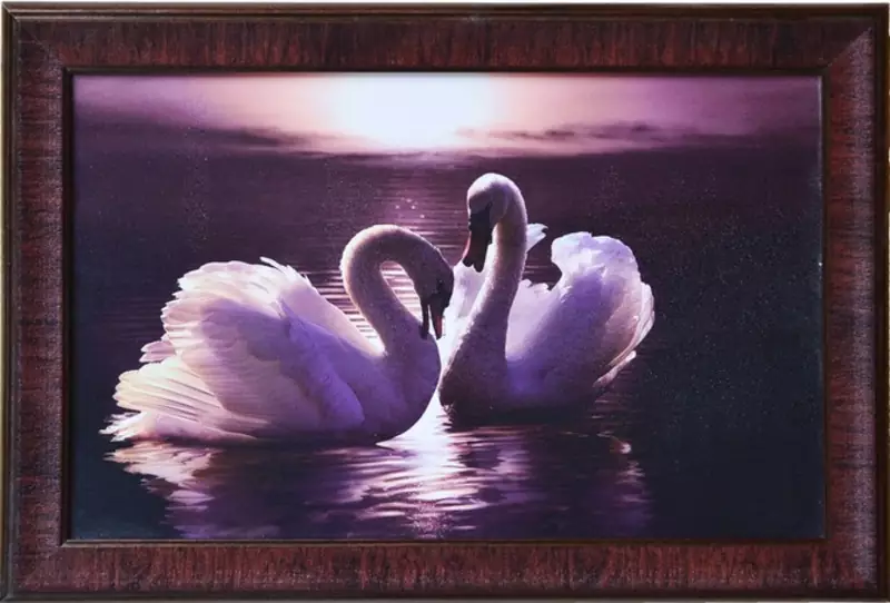 2 Swans Design Satin Matt Texture Framed UV Art Print