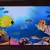 3D Sea Life view Design Satin Matt Texture Framed UV Art Print