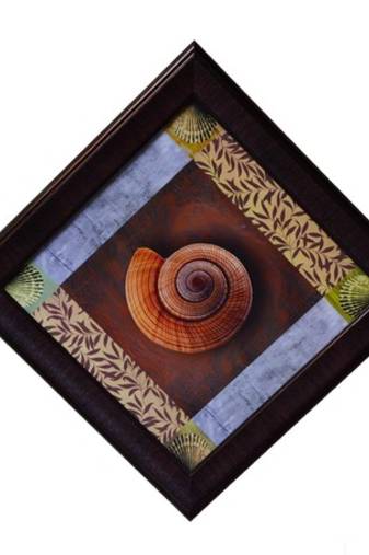 Shell Design Satin Matt Texture Framed UV Art Print