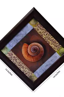 Shell Design Satin Matt Texture Framed UV Art Print