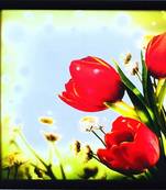 Floral Theme Satin Matt Texture Framed UV Art Print