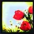 Floral Theme Satin Matt Texture Framed UV Art Print