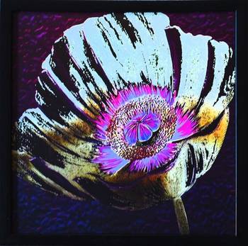 Floral Theme Satin Matt Texture Framed UV Art Print 1