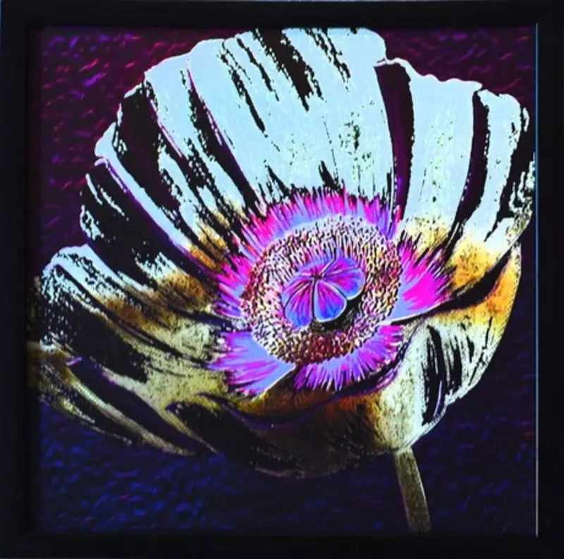 Floral Theme Satin Matt Texture Framed UV Art Print