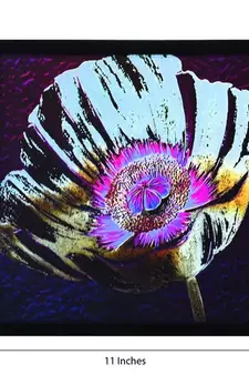 Floral Theme Satin Matt Texture Framed UV Art Print