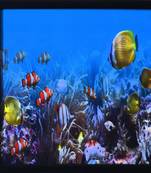 3D Sea Life view Design Satin Matt Texture Framed UV Art Print