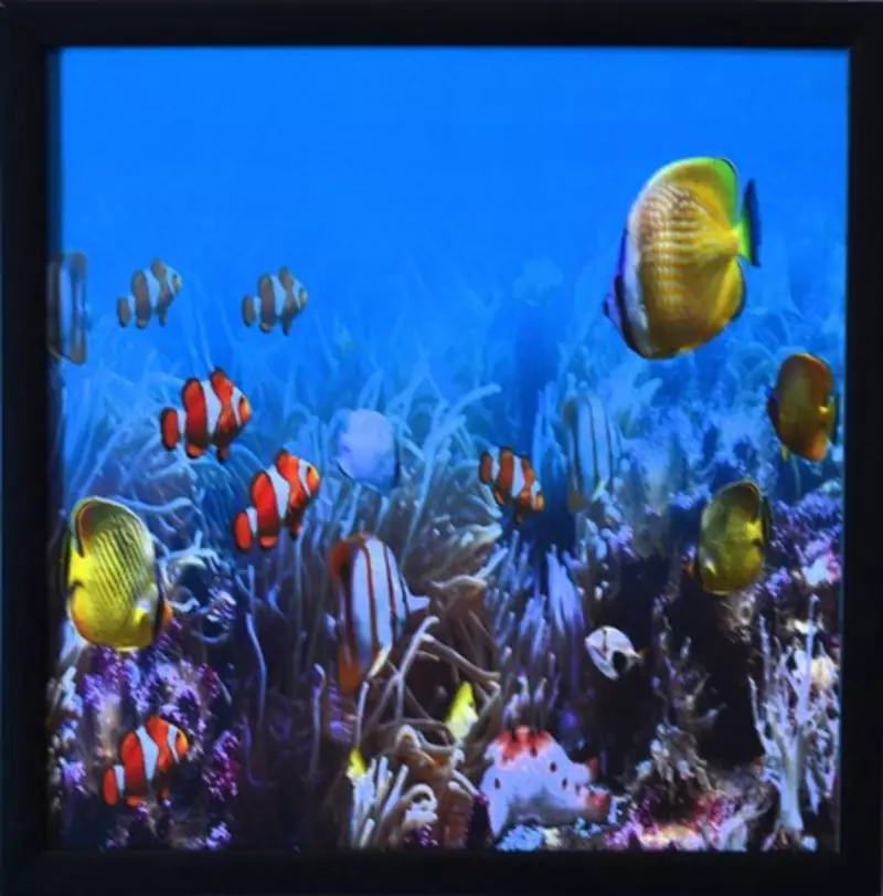 3D Sea Life view Design Satin Matt Texture Framed UV Art Print