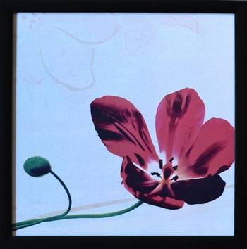 Floral Theme Satin Matt Texture Framed UV Art Print 1