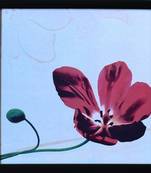 Floral Theme Satin Matt Texture Framed UV Art Print