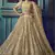 Seductive Dusky Beige Sequins embroidered net fabric lehenga choli for bride