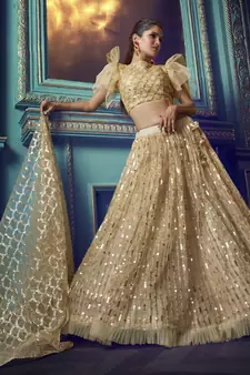 Gold Net Mirror Sequin Embroidered Wedding Lehenga Choli