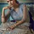 Alluring Grey Sequins embroidered and ruffle work Net fabric wdding lehenga choli