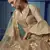 Beige Sequins embroidered net semi stitched Bridal lehenga