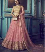 Pink Sequins & Dori Embroidered net Lehenga choli
