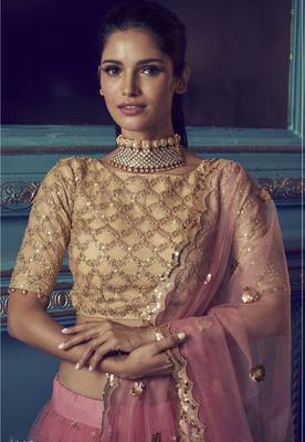 Pink Sequins & Dori Embroidered net Lehenga choli 2