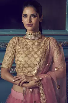 Pink Sequins & Dori Embroidered net Lehenga choli