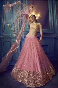 Pink Sequins & Dori Embroidered net Lehenga choli