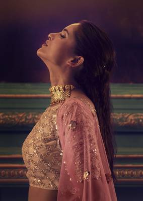 Pink Sequins & Dori Embroidered net Lehenga choli 4