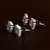 Rhodium and Rose Plated Two Pairs of American Diamons Studs 216ED434