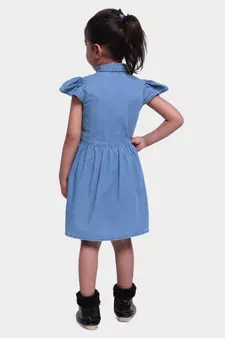 Ruffle Sleeve Denim Dress For Baby Girl- Blue