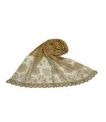 Best In Class - Best In Design - Rich Diamond Work - Stripes and Embroidered Liner With Cotton Blend Fabric - Brown