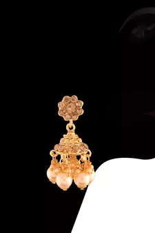 Traditional Choker Necklace Set With Earrings For Women 