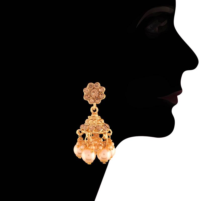 Traditional Choker Necklace Set With Earrings For Women 