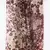 neutral printed silk cashmere scarf
