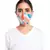 Stone Ikat Garden Print Structured 3 Ply Mask with Pouch