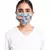 Blue and Stone Ikat Garden Print Pleated 3 Ply Mask with Pouch
