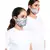 PS Masks Twin Set - Stone Ikat Garden Print Structured 3 Ply Masks with Pouches