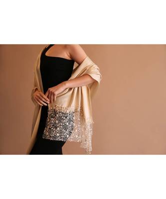 Italian lace on beige silk 2