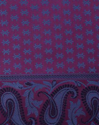 PurpleSemi Kataan Silk Banarasi tanchui Saree 5