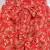 Cherry Blow Women Shorts