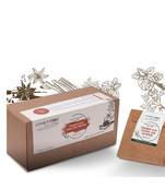 Cosmetofood Professional Cinnamon Acne Control Skin Nutrition Facial Kit (350 mL) For Men And Women