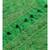 Ada Hand Embroidered Green Georgette Lucknowi Chikankari Kurti