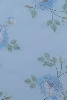 Blue Printed Organza Saree With Blouse