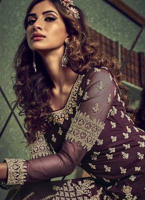 Wine Net Embroidery Sharara Style Suit 4