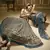 Dark-green sequins embroidered net Semi Stitched bridal lehenga