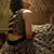 Glamorous Black Coding and sequins embroidered net fabric Lehenga choli