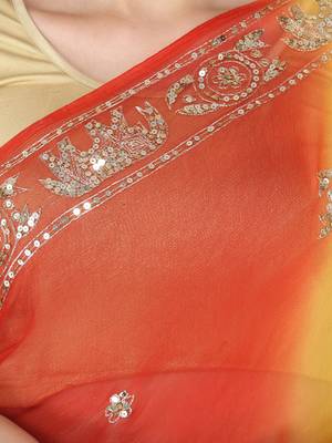 Sequence and jari handwork chiffon saree. 4