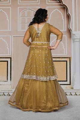 Gold Hand Work Net Ethnic With Blouse 6