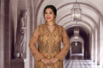 Brown Hand Work Georgette & Brocade Ethnic 5