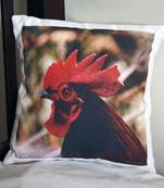 The Cock