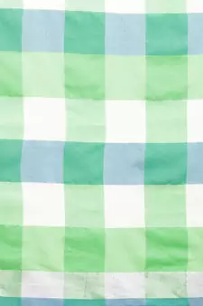Green woven blended cotton saree with blouse