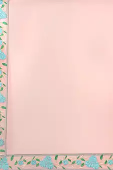 Pink embroidered georgette saree with blouse