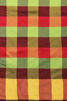 Green woven uppada silk saree with blouse