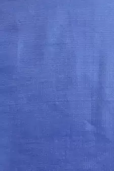 Blue printed art silk saree with blouse