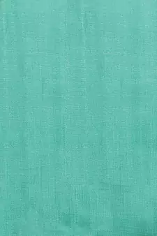 Green printed art silk saree with blouse